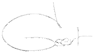 Geert